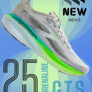 BROOKS ADRENALINE GTS 25 MEN [Oyster/Green Gecko/Blue]